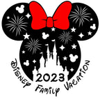 Disney Vacation Year